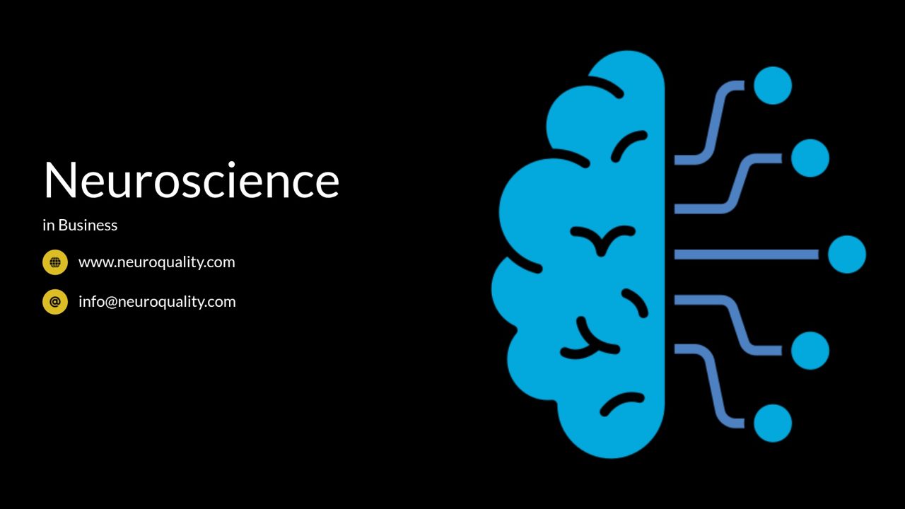 Neuroscience in Business: εικόνα εγκεφάλου με κυκλώματα